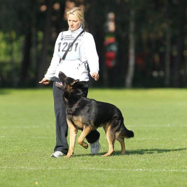 Steffi Haas.jpg